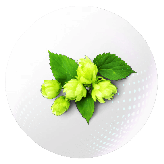 Hops Extract